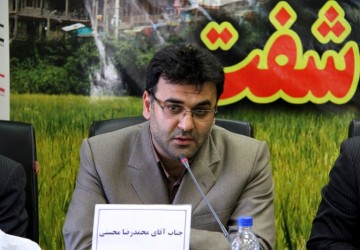 محسنی