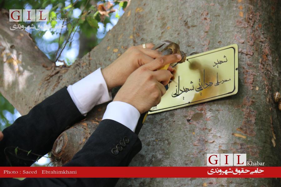 اختصاصی/گزارش تصویری پلاک کوبی درختان بوستان مفاخر به نام شهدای فرزندان شاهد شاغل در شهرداری