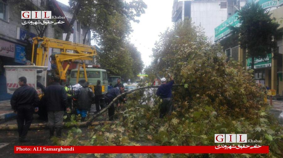 شکسته شدن تعدادی از درختان ، سقوط بنرهای تبلیغاتی و قسمتهایی از نمای ساختمانها / قطع 3 درخت توسط شهرداری + گزارش تصویری