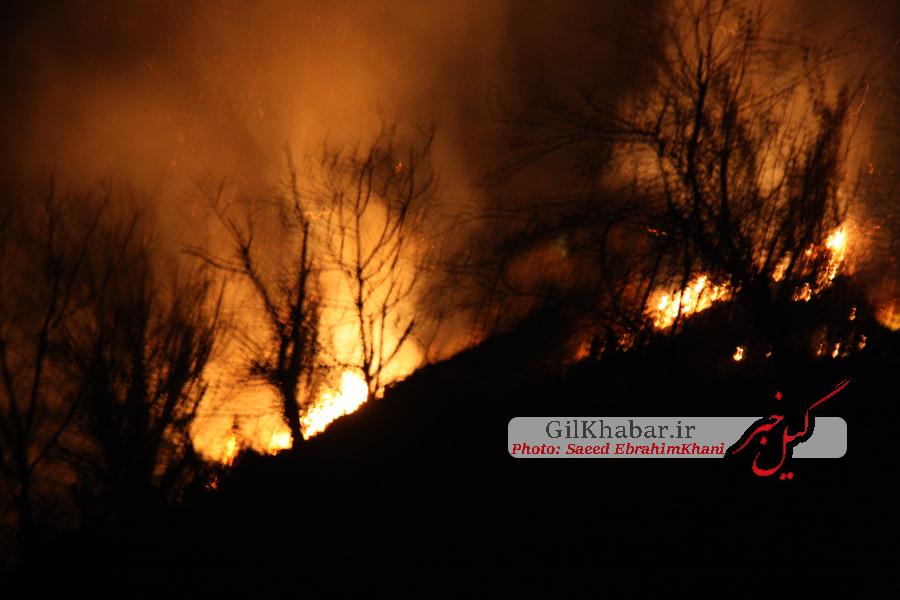 اختصاصی/گزارش تصویری ویژه آتش سوزی جنگل های سیاهکل