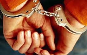11 نفر از سرشاخه های یک شرکت ‏ هرمی در بندر انزلی دستگیر شدند