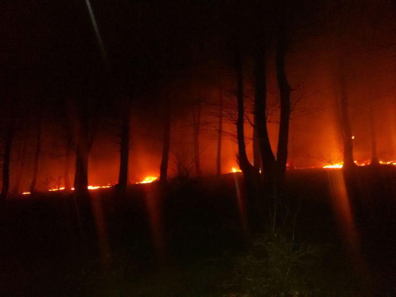 مهار آتش سوزی جنگل های مازیان رستم آباد شمالی+ تصاویر