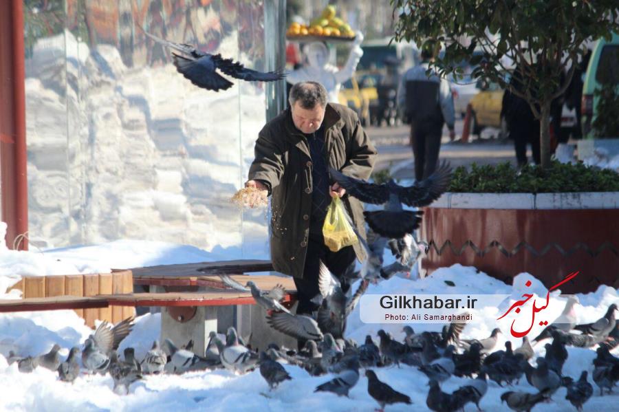 اختصاصی/ پیاده راه مرکزی رشت  یک هفته بعد از برف به روایت تصویر