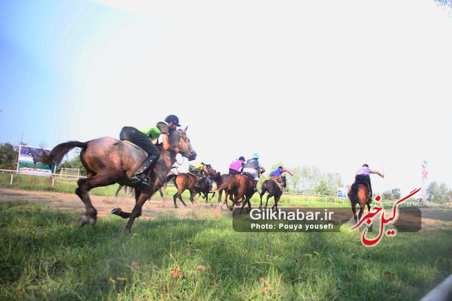 مسابقات کورس تابستانه اسب های بومی و دوخون در رشت به روایت تصویر