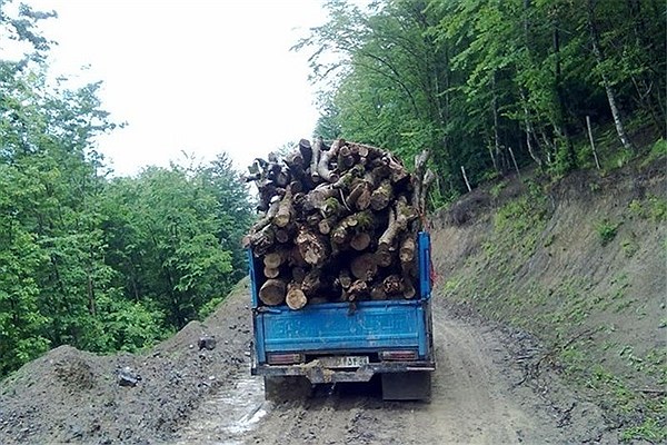 تیتر تکراری «قاچاق چوب در استان گیلان»