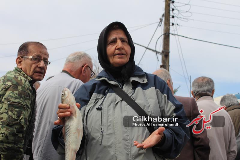 بازار ماهی فروشان شب عید انزلی به روایت تصویر 