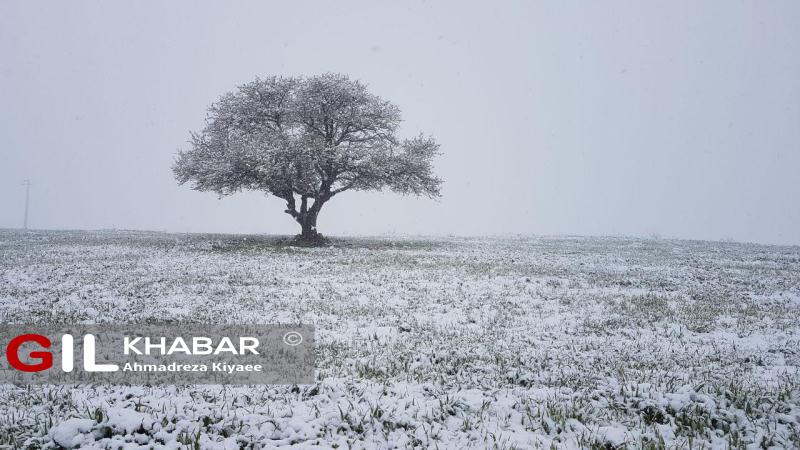 بارش برف بهاری در دیلمان+تصاویر