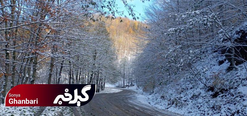 گزارش تصویری بارش اولین برف پاییزی در ارتفاعات زیبای بخش اسالم شهرستان تالش