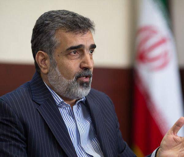 حل مسائل هسته ای باید از دو مسیر سیاسی و فنی توامان انجام شود