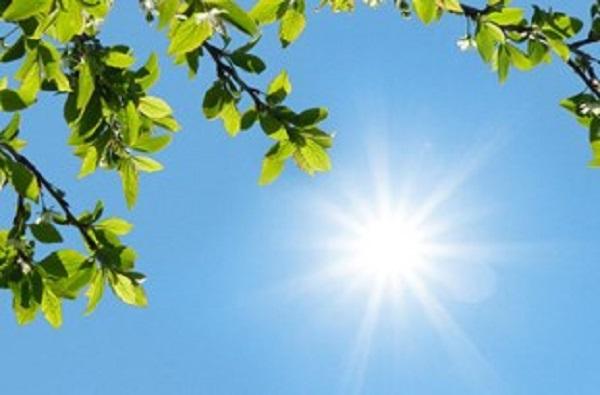 images/pro gallery/t 1684755499 10741447 855