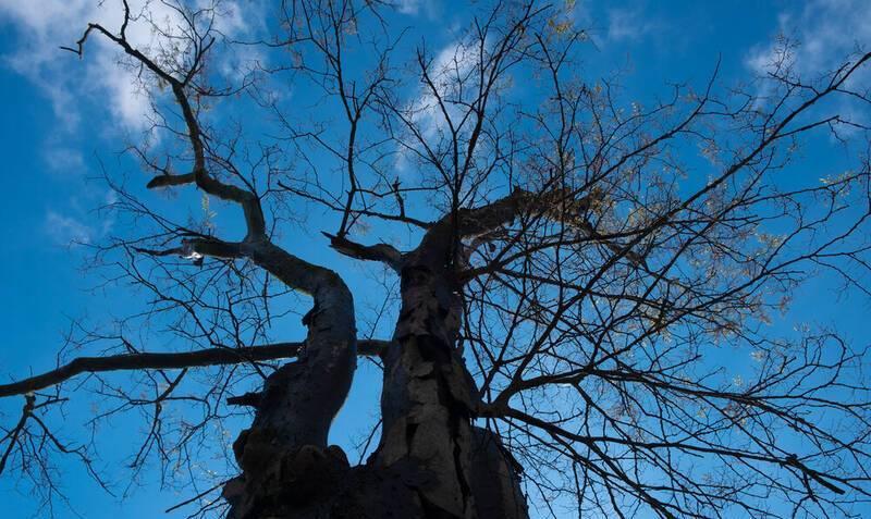 آسمان آفتابی گیلان تا پایان هفته