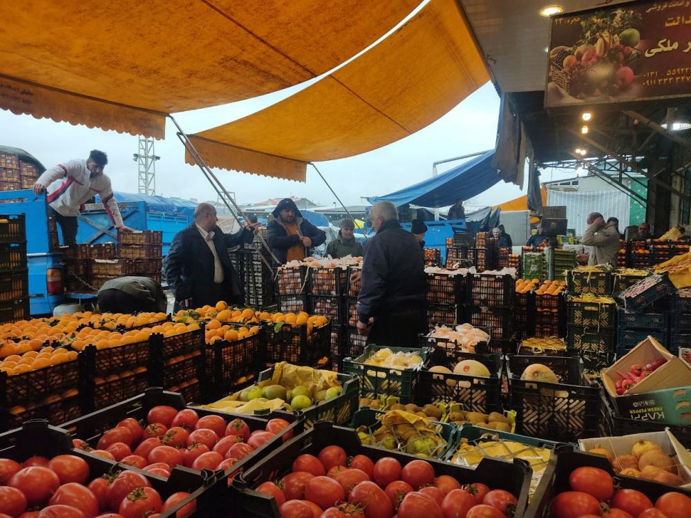 توزیع رایگان 2 تن میوه شب عید برای نیازمندان و بیماران خاص در رشت