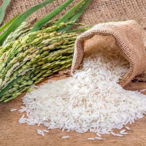 ۳ برابر نیاز کشور برنج وارد شد
