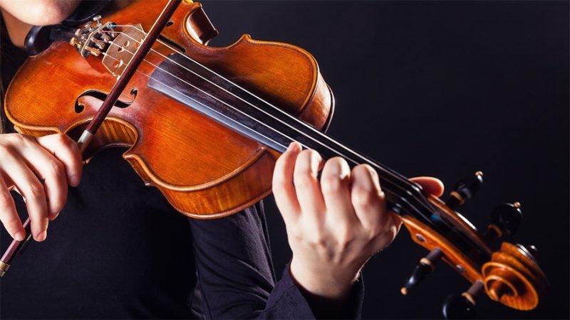 آموزش تخصصی ویولن در تهرانپارس