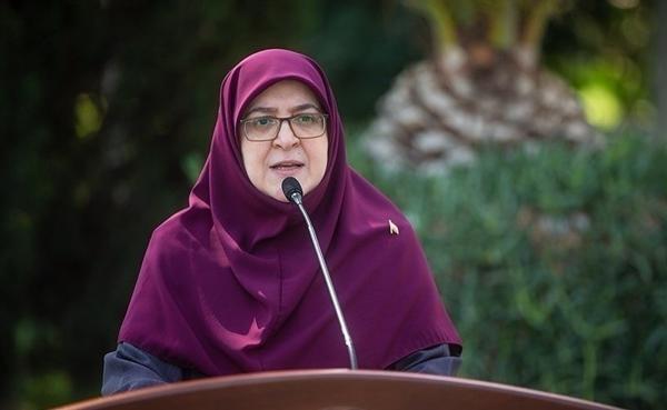 واکنش سخنگوی دولت به طرح اظهاراتی درباره افزایش قیمت حامل های انرژی