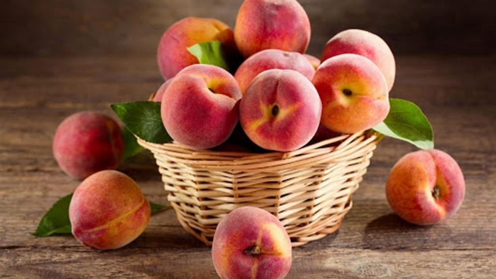 بهترین میوه برای سم زدایی بدن