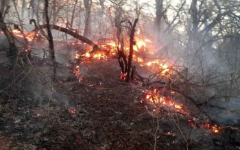شعله ور شدن دوباره آتش در منطقه سلانسر رودبار