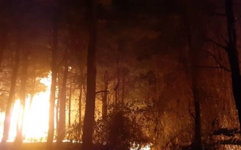 اطفای آتش در ۱۰۵ هکتار از اراضی جنگلی گیلان