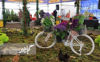 گزارش تصویری از چهارمین نمایشگاه گل و گیاه در لاهیجان
